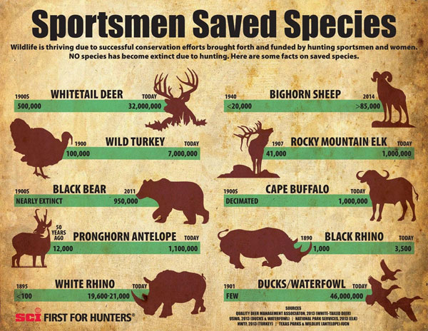 Sportsmen Saved Species infographic
